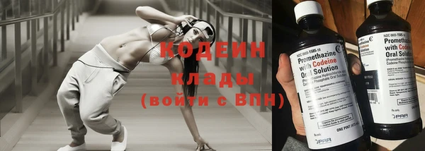 тгк Нея