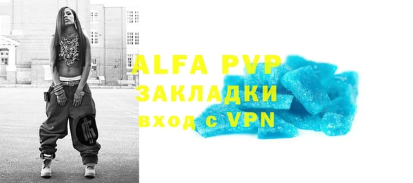 шишки Надым