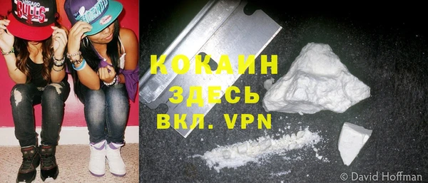 тгк Нея