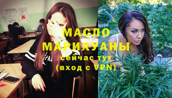шишки Надым