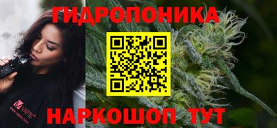прущие грибы Балаково
