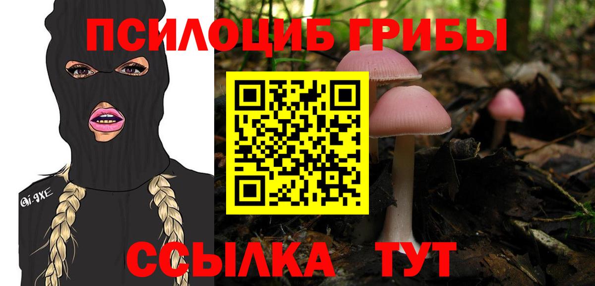 Псилоцибиновые грибы MAGIC MUSHROOMS  Галлюциногенные грибы GOLDEN TEACHER  Вход с VPN  Кудымкар 